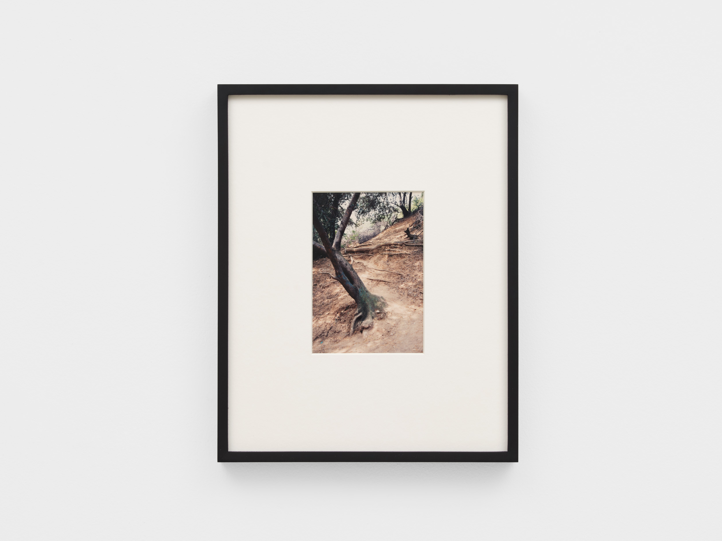 <p>Untitled (Griffith Park)</p>