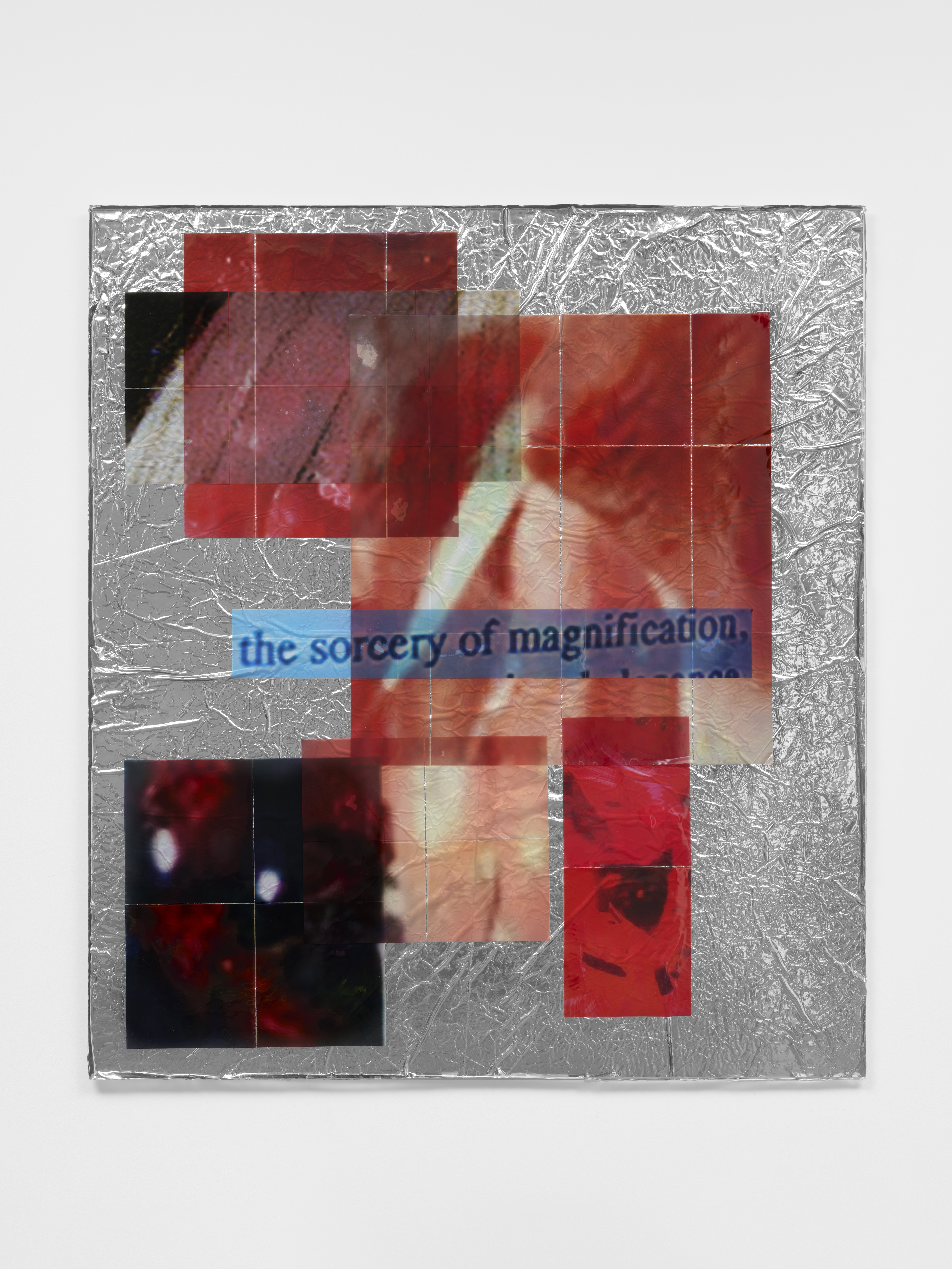 <p><em>The sorcery of magnification</em></p>