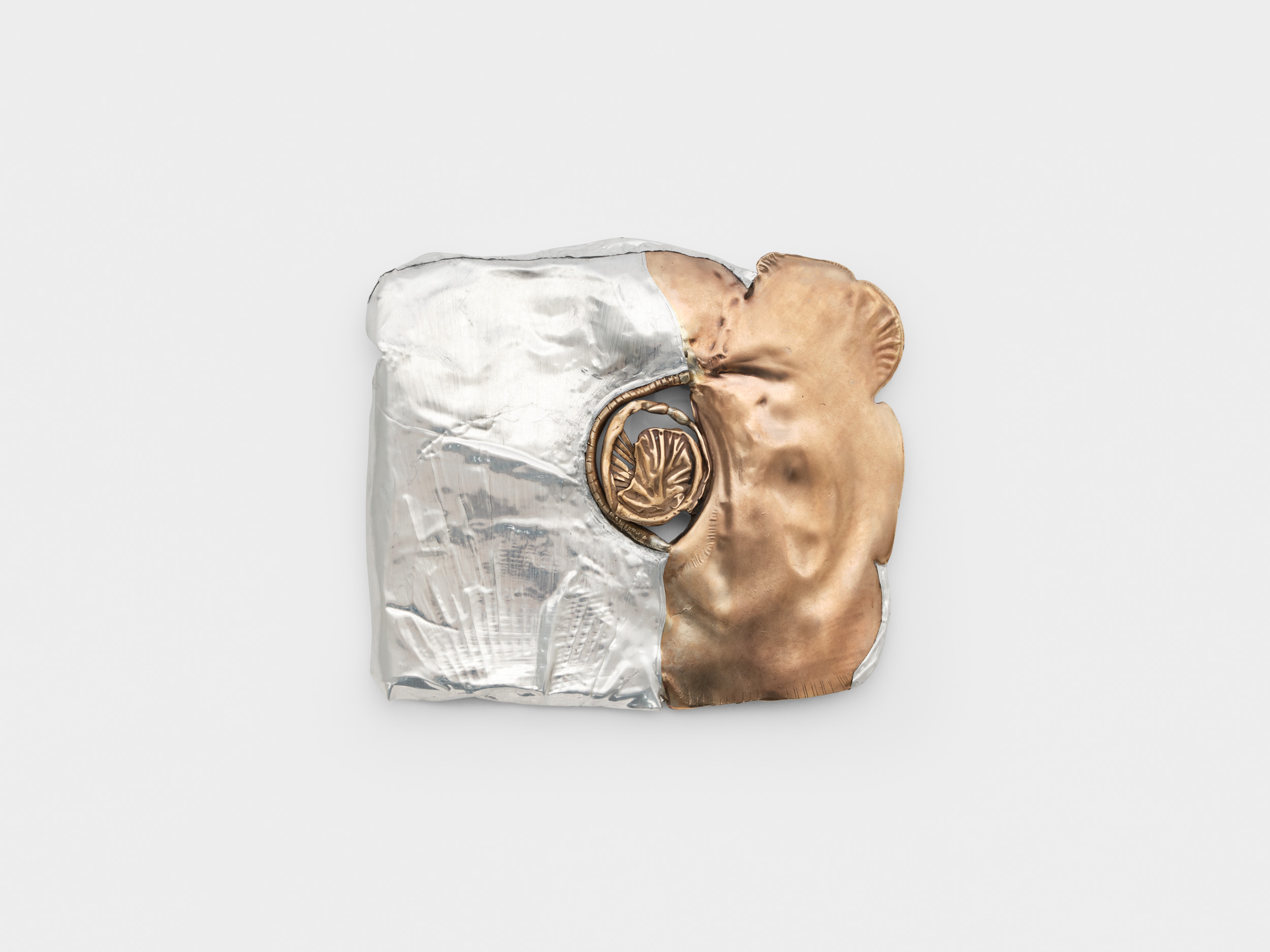 <p>Water penny</p>
