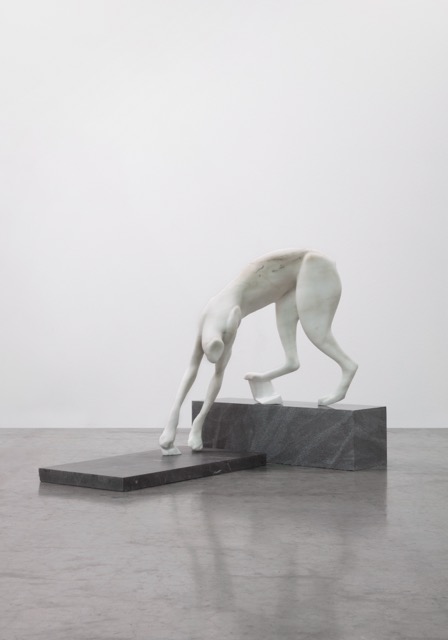 <p><em>Stalk her (lynx)</em></p>