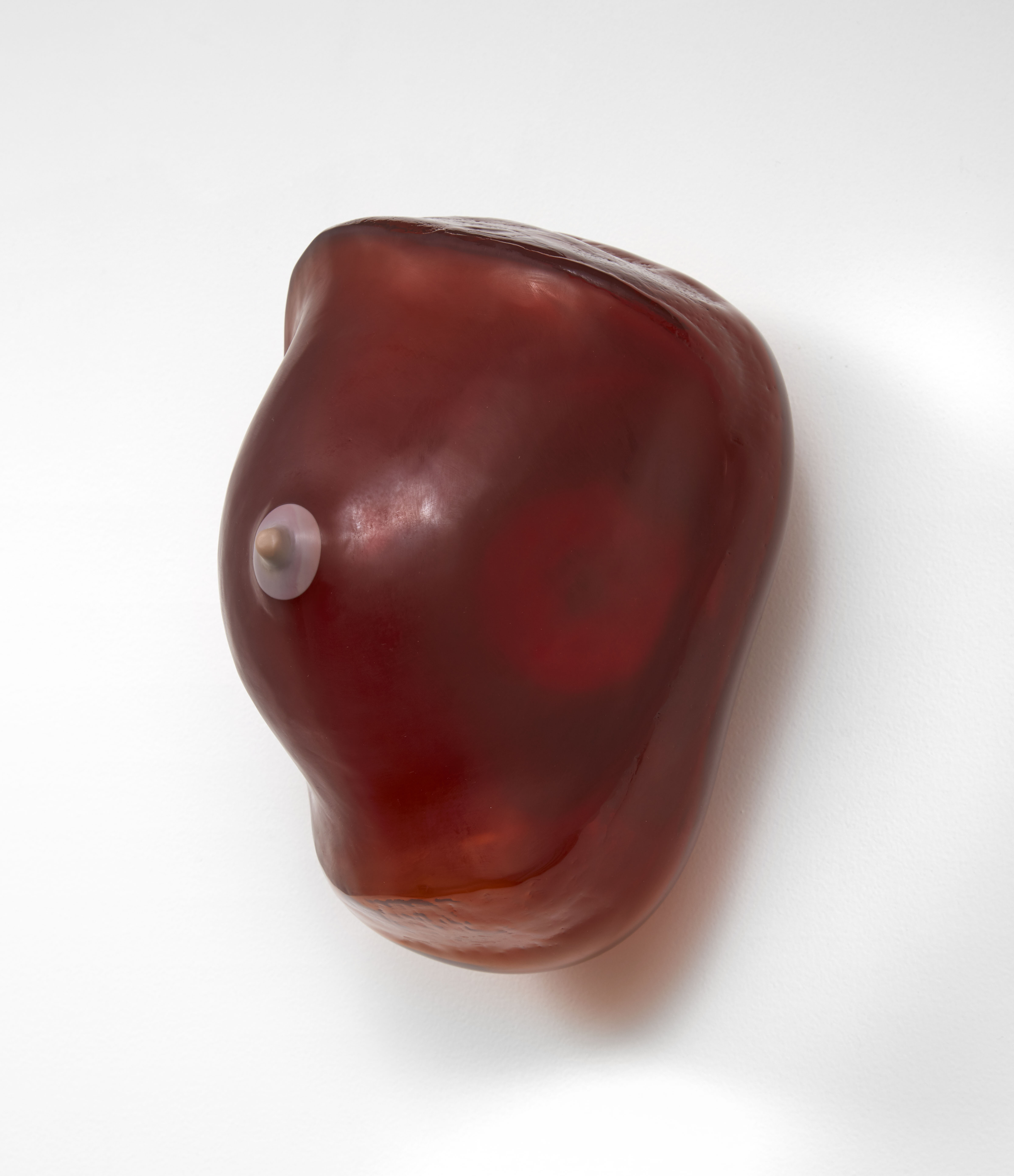 <p>breast (bruise)</p>