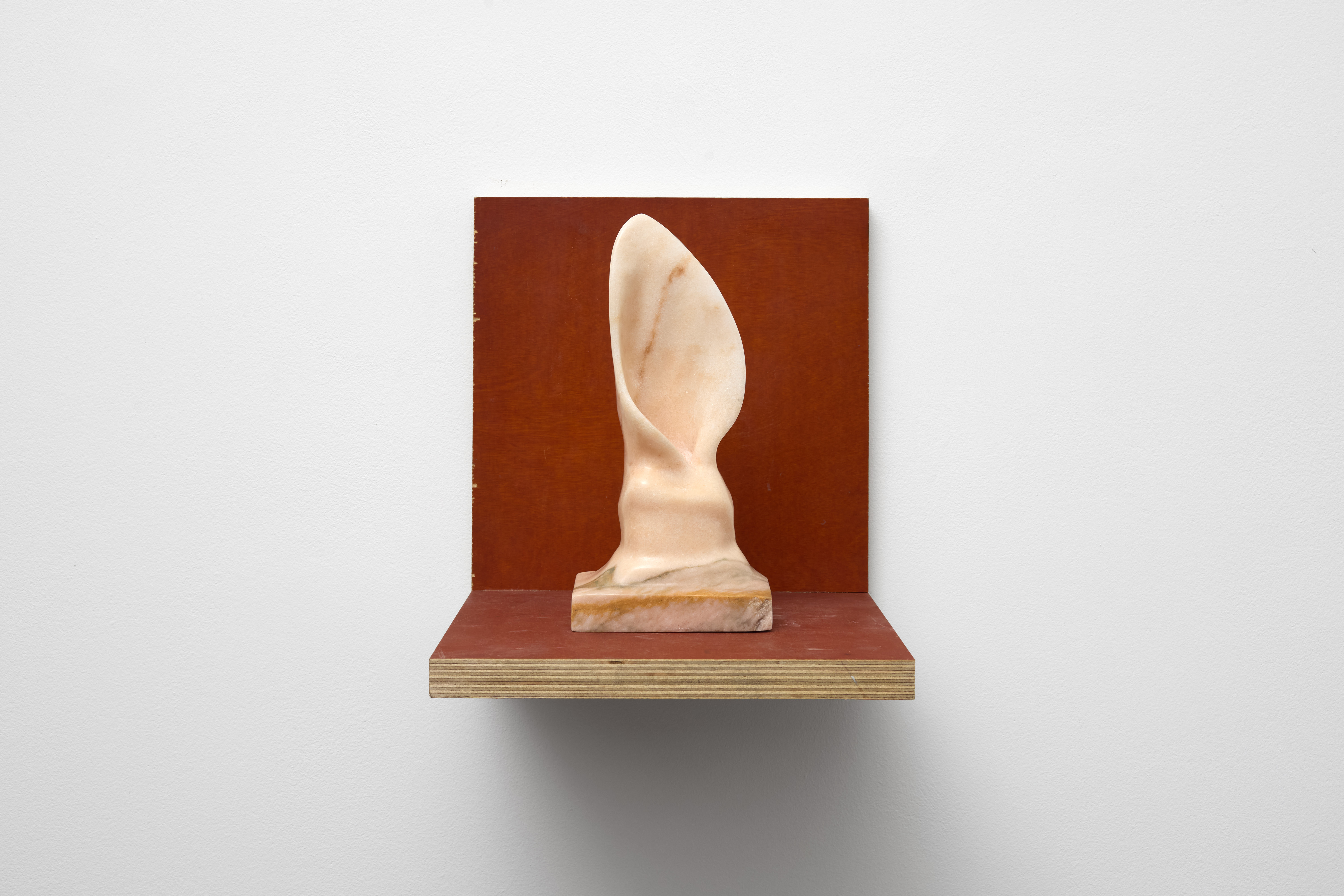 <p><em>decollate (pink, left)</em></p>