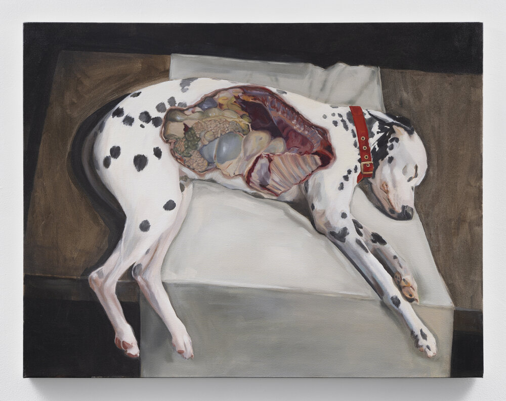 <p><em>The Autopsy</em> </p>